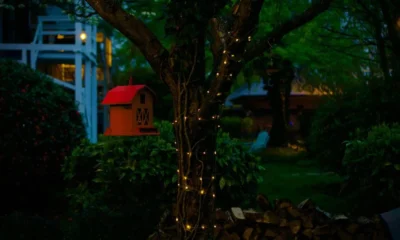 Night Cloaked Deck