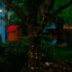 Night Cloaked Deck
