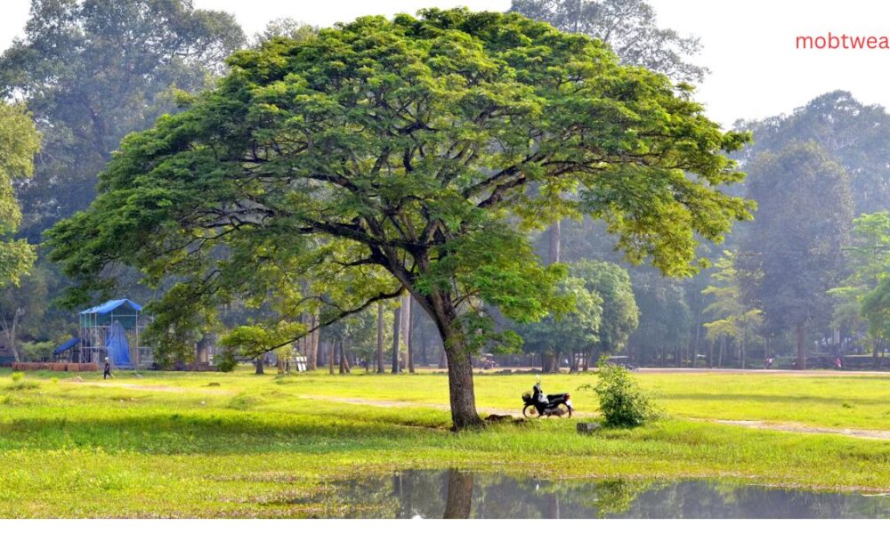 A travel and tours asia Journey Through Culture, Nature, and Adventure
