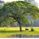 A travel and tours asia Journey Through Culture, Nature, and Adventure