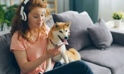 Wooflix