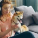 Wooflix
