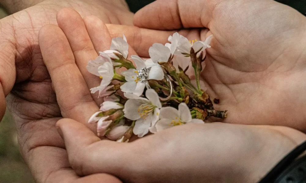 Flower Press