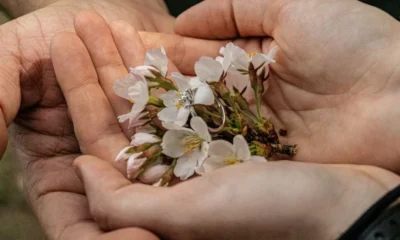 Flower Press