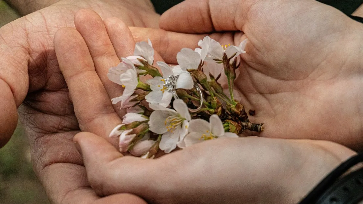 Flower Press