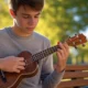 Ukulele History