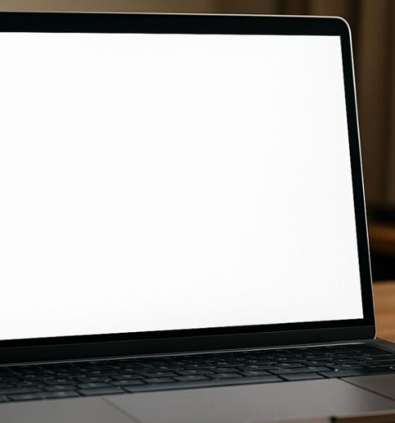 White Screen
